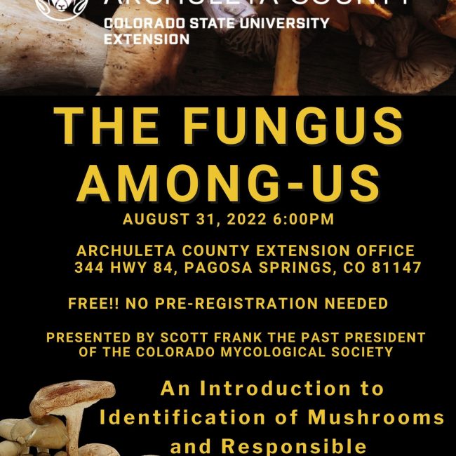 The Fungus Among-Us