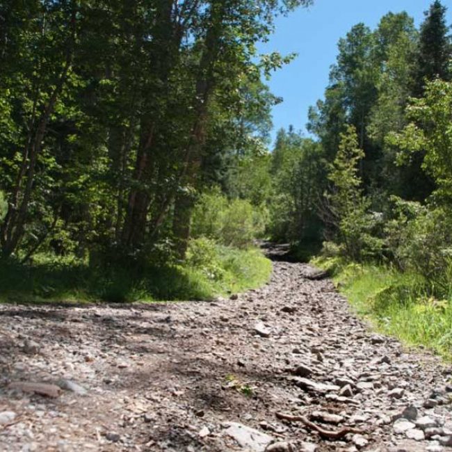 Elwood Pass OHV Trail