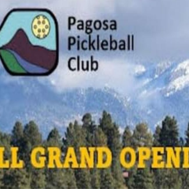 Pickleball Grand Opening Tournament at South Yamaguchi Park