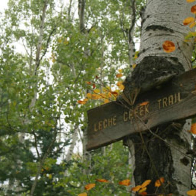 Leche Creek Trail