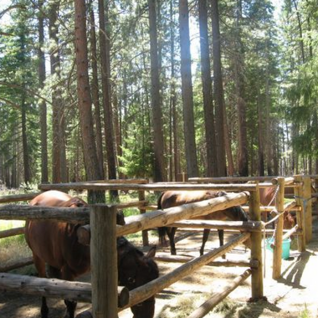 Palisades Horse Campground